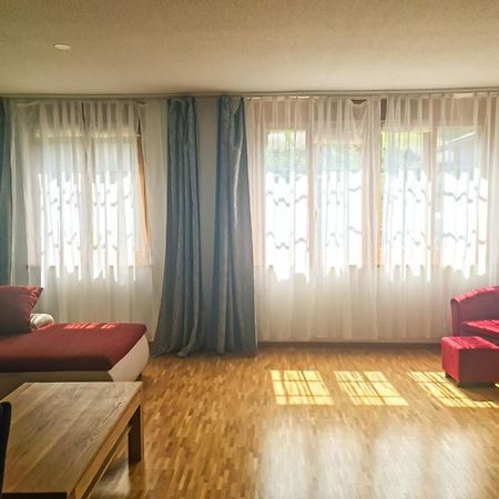 Sofia Apartment - Aare Jungfrau Ag Wilderswil Zewnętrze zdjęcie