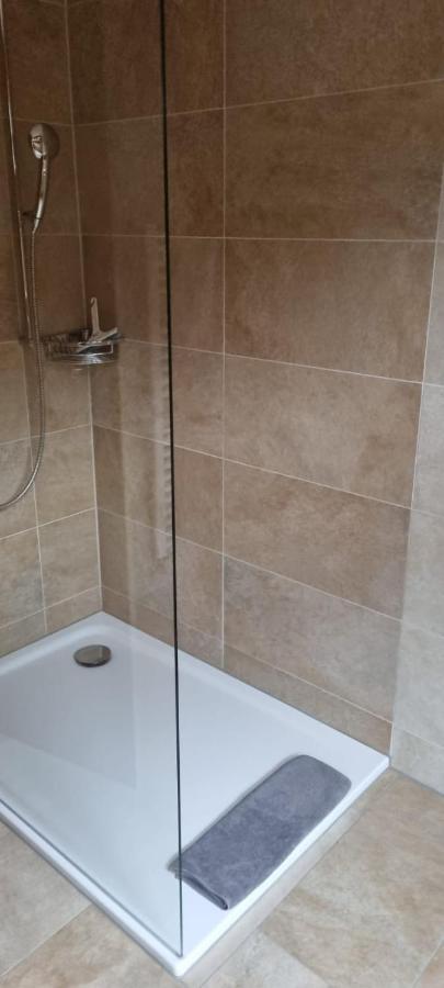 Sofia Apartment - Aare Jungfrau Ag Wilderswil Zewnętrze zdjęcie