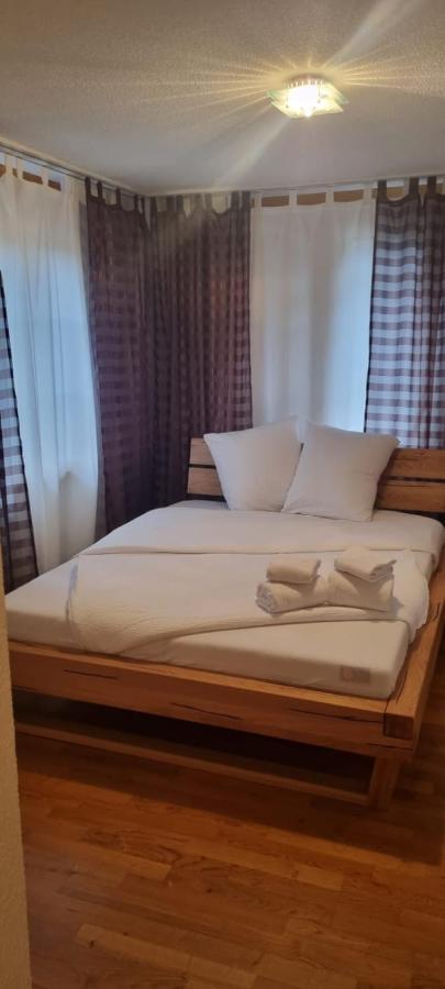 Sofia Apartment - Aare Jungfrau Ag Wilderswil Zewnętrze zdjęcie