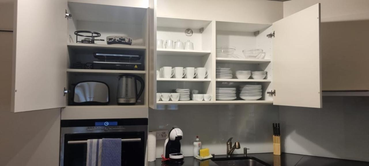 Sofia Apartment - Aare Jungfrau Ag Wilderswil Zewnętrze zdjęcie