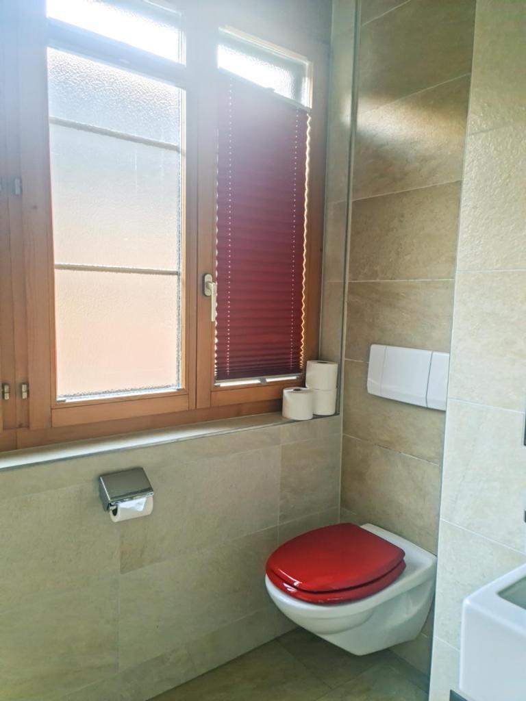 Sofia Apartment - Aare Jungfrau Ag Wilderswil Zewnętrze zdjęcie