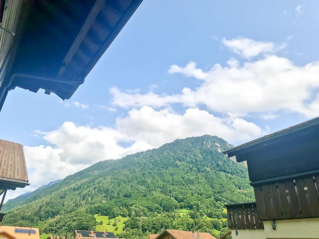 Sofia Apartment - Aare Jungfrau Ag Wilderswil Zewnętrze zdjęcie