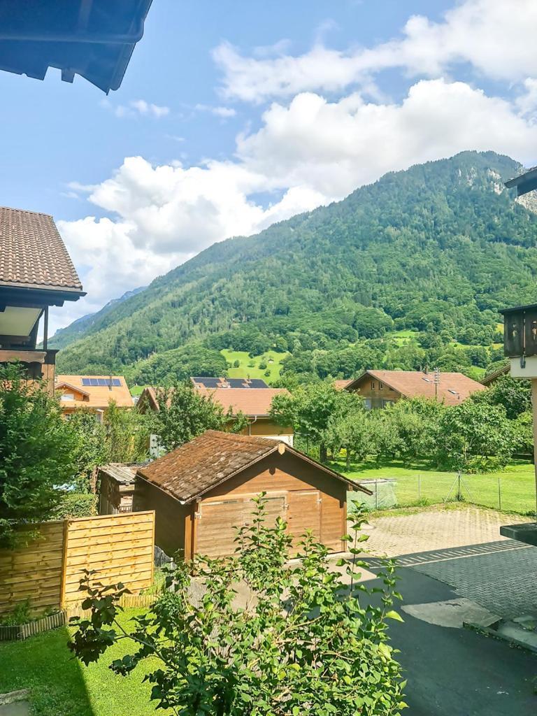 Sofia Apartment - Aare Jungfrau Ag Wilderswil Zewnętrze zdjęcie