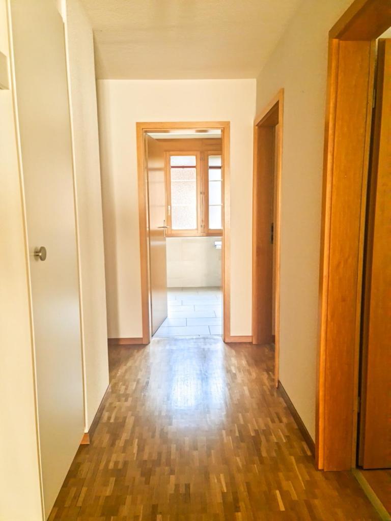 Sofia Apartment - Aare Jungfrau Ag Wilderswil Zewnętrze zdjęcie